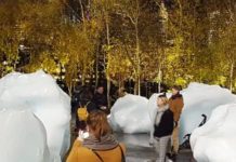 How Environmental Art Brings Climate Change Awareness