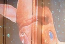 Romania’s Enescu Festival Persists Despite The Pandemic