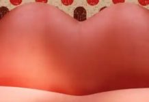 Dali’s ‘Lips’ Sofa Started Life As A Back-Of-The-Envelope Sketch