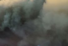 Did Judy Chicago Troll A Crowd At The De Young Museum?