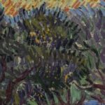 The Secrets In Van Gogh’s Olive Trees