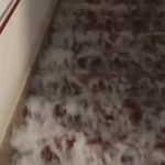 Flash Floods Cause Closure Of Slovenia’s National Theater And Modern Art Museum