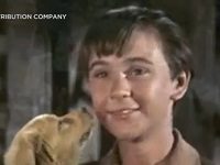 Tommy Kirk, Teen Star Of A String Of Disney Hits, Dead At 79