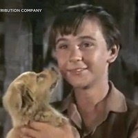 Tommy Kirk, Teen Star Of A String Of Disney Hits, Dead At 79