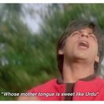 Urdu And Hindi Are Basically The Same Language. Why Do Hindu Nationalists So Violently Hate Urdu?