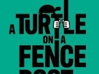 A Political Consultant Turns The Story Of His Downfall Into An Autofiction Musical