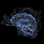 Being Bilingual Really Does Help Your Brain. It Took America A Long Time To Figure That Out