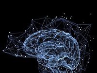 Being Bilingual Really Does Help Your Brain. It Took America A Long Time To Figure That Out