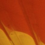 The Impossibility Of Translating