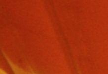 The Impossibility Of Translating