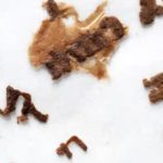 An Ancient Book’s Journey From Irish Bog To Museum