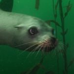 The Deep Emotional Appeal Of Nature Photos