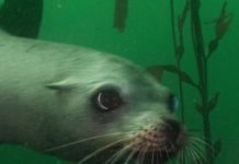 The Deep Emotional Appeal Of Nature Photos