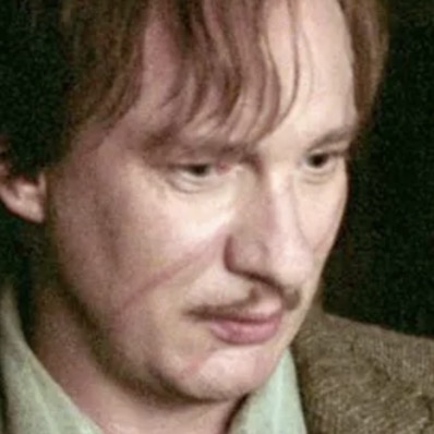 One Way To Enjoy The Harry Potter Universe Again