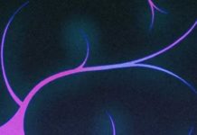 Our Brains Are Prediction Machines