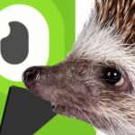 Duolingo’s Weird Sentences Show Us How Our Brains Work