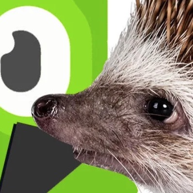 Duolingo’s Weird Sentences Show Us How Our Brains Work