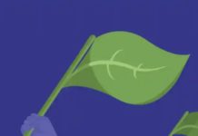 A Hard Truth? Democracies Aren’t Up To Big Challenges Like Climate Change