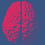 How To Memorize Something Complex? There’s A System For That