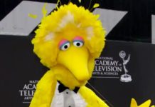 Big Bird In The Crosshairs: Ted Cruz Attacks After The Big Guy Gets Vaccinated