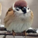 How A Poem Can Change The World