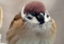 How A Poem Can Change The World