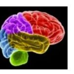 Study: Listening To Familiar Music Boosts Brain Function