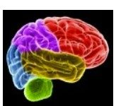 Study: Listening To Familiar Music Boosts Brain Function