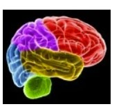 Study: Listening To Familiar Music Boosts Brain Function
