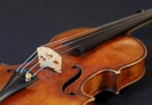 Man And Daughter Killed Over Four Stradivarius Violins