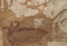 45,000-Year-Old Painting Of A Warty Pig Upends History Of Art