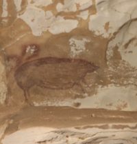 45,000-Year-Old Painting Of A Warty Pig Upends History Of Art