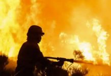 A Climate Change Imperative For Artists