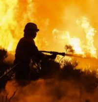 A Climate Change Imperative For Artists