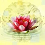 Technology Is Promising Boosts To Your Enlightenment