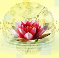 Technology Is Promising Boosts To Your Enlightenment