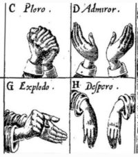 Talk To The Hand – How Our Hands Help Us Communicate