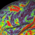 Cool – A Brain Scan! But What Does It Mean?