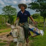 The Biblioburro, A Four-Hooved Bookmobile For Rural Colombia