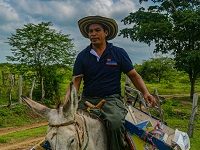 The Biblioburro, A Four-Hooved Bookmobile For Rural Colombia