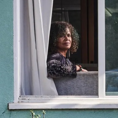 Do Little Free Libraries Contribute To Gentrification?