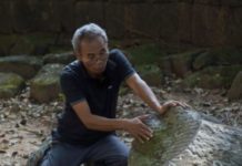 Even Without The Cambodian Lion, Authorities Say They’ll Continue Hunting For Looted Artifacts