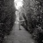 What’s Going To Happen To Democracy?