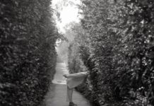 What’s Going To Happen To Democracy?