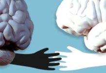 What Actually Makes People Smarter Isn’t Doing A Bunch Of Brain Booster Puzzles