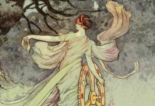 The Universal Story (But Why?)