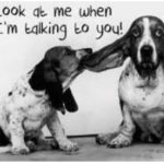 Have We Forgotten The Art Of Listening?