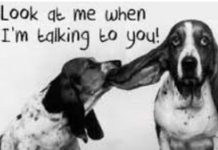 Have We Forgotten The Art Of Listening?