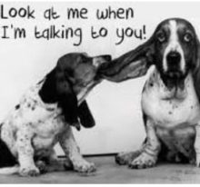 Have We Forgotten The Art Of Listening?