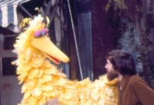 The Politics Of Big Bird (And Sesame Street)
